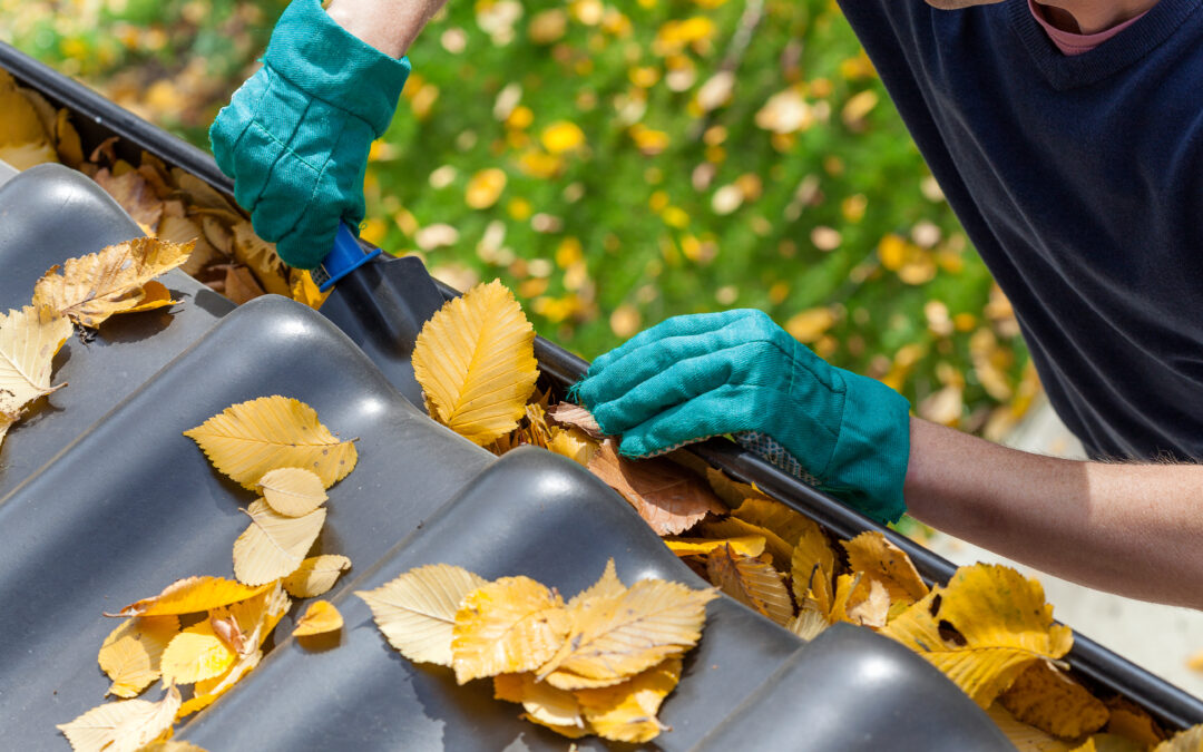 Spring Cleaning Florida House Maintenance You Should Do Every Year Before the Summer Hits